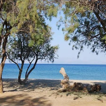 Rachi Boza, By The Sea *