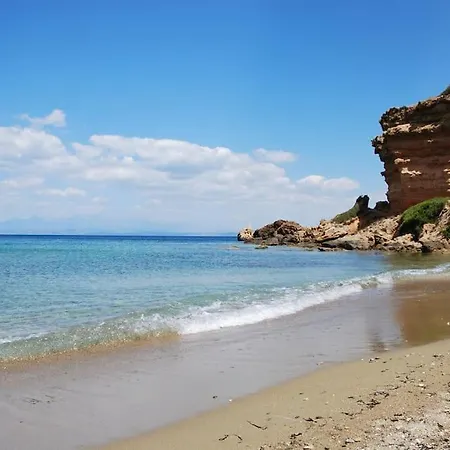 Rachi Boza, By The Sea * Plitra