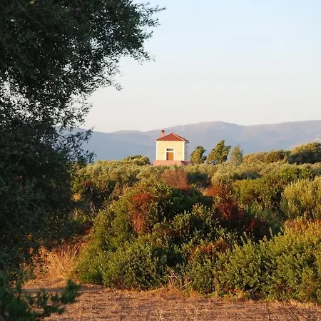 Rachi Boza, By The Sea * Plitra